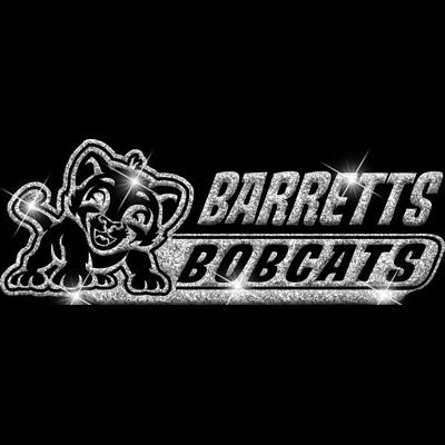 GLT102 SILVER GLITTER Thumbnail