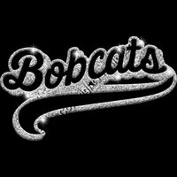 GLT78 SILVER GLITTER Thumbnail